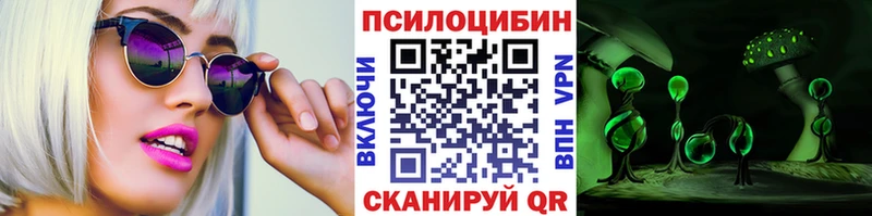 Псилоцибиновые грибы Psilocybe  Купить закладки  Кашира 